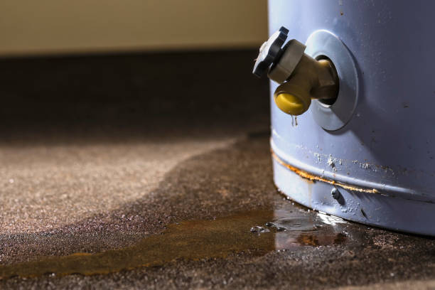 Best Residential water damage restoration  in South San Jose Hills, CA