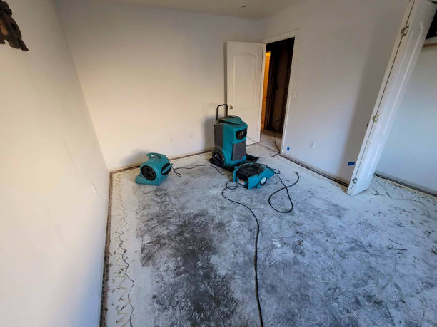 Best Ceiling water damage repair  in South San Jose Hills, CA