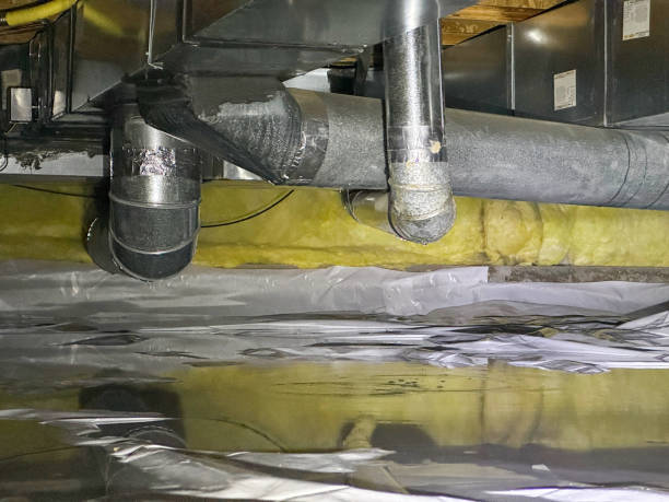 Best Flood damage cleanup  in South San Jose Hills, CA