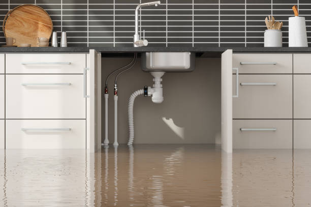 Best Water damage contractors near me  in South San Jose Hills, CA