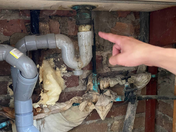  South San Jose Hills, CA Water damage restoration Pros