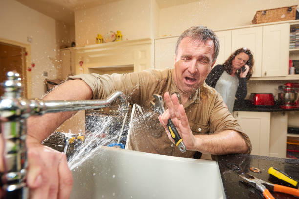 Best Flooded house restoration  in South San Jose Hills, CA